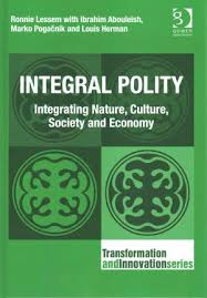 Integral Polity Book Cover